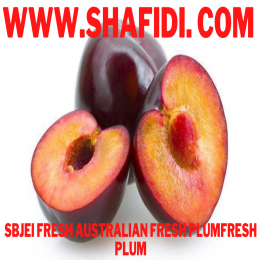 FRESH AUSTRALIAN FRESH PLUMFRESH PLUM